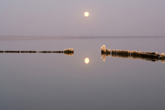 KB.2754SaltonSea©KristaBoggs©KristaBoggs