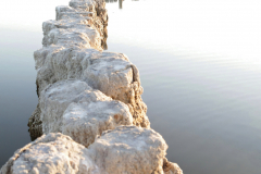 KB.3743SaltonSea©KristaBoggs©KristaBoggs