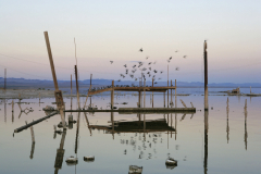 KB.5004SaltonSea©KristaBoggs©KristaBoggs