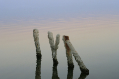 Salton1SaltonSea©KristaBoggs©KristaBoggs